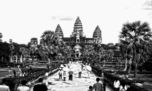 Aviary Photo_130707879923506920