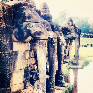 Aviary Photo_130707880566878947