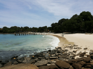 Aviary Photo_130713969058623729