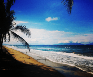 Aviary Photo_130744978594983581