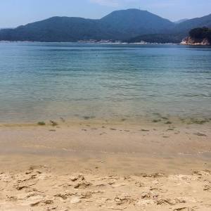 11150792_10155662227190360_4460301344889980777_n