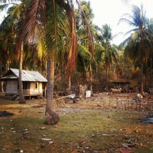 10306384_10154871757395360_7315463810856240360_n