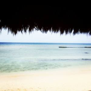 1610824_10154854472730360_3209038237221495743_n