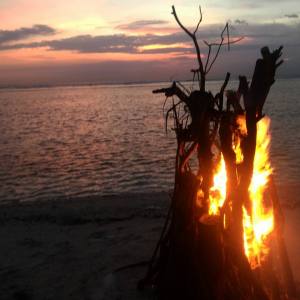 250283_10154871755925360_5321189021618216542_n