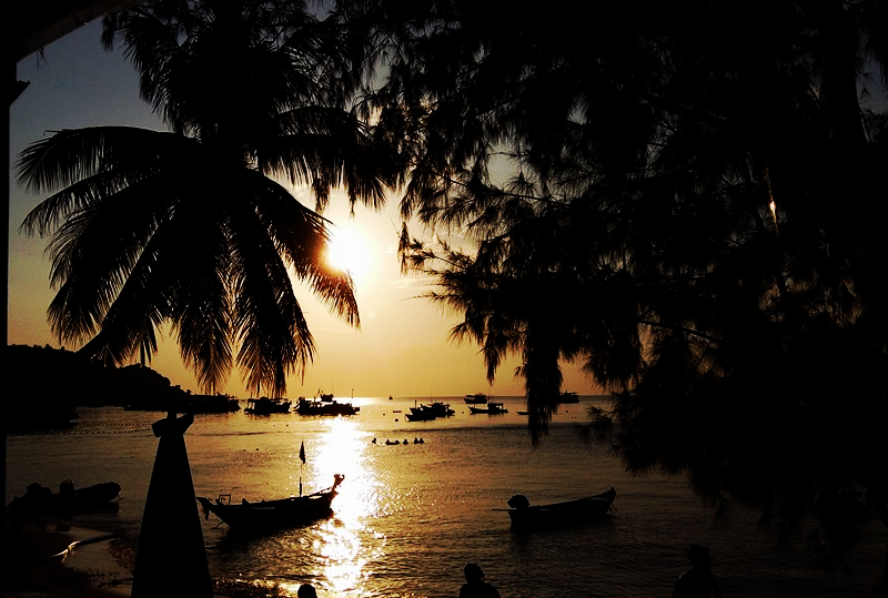 Aviary Photo_130974895285894835