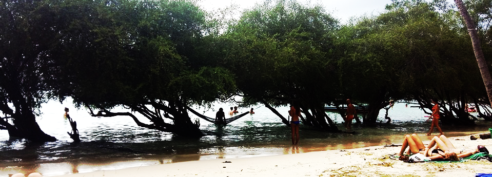 Aviary Photo_130974895905455723