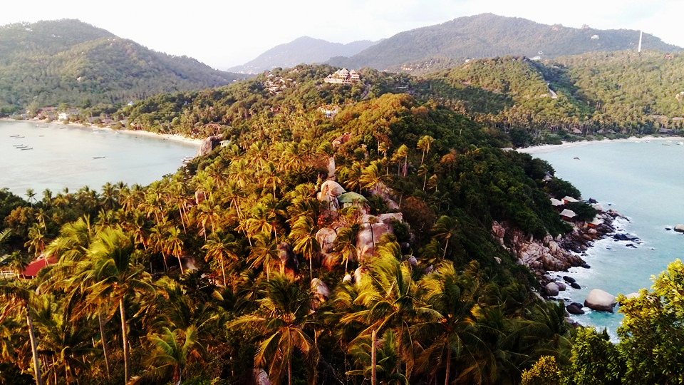 Aviary Photo_130974896628668735