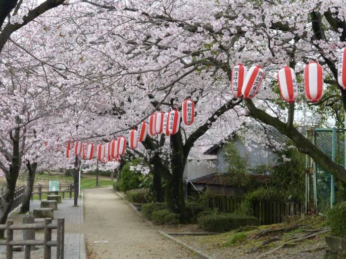 13062270_10153868109726077_2282527262126262670_n