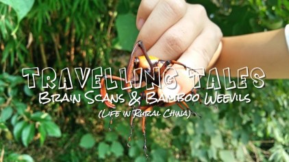 travel-tales-2-banner