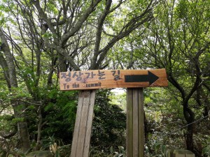 Hiking Hallasan Korea